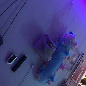 Meet your Posher, Yamireliz